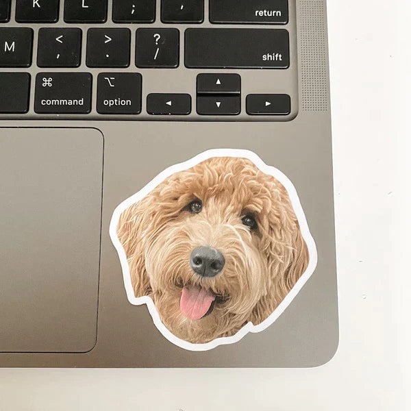 3x Accesorios personalizados para su hogar
