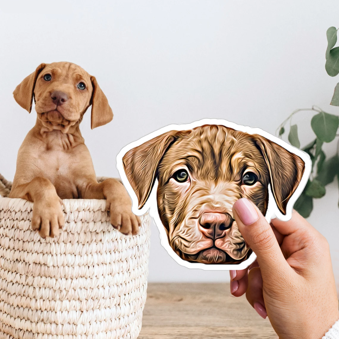 3x Accesorios personalizados para su hogar