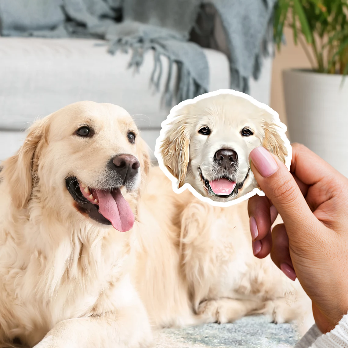 3x Accesorios personalizados para su hogar