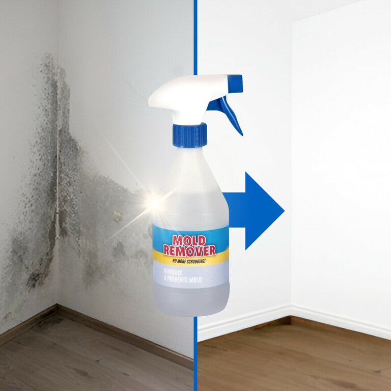 MegaMold™  Spray Anti-Muffa