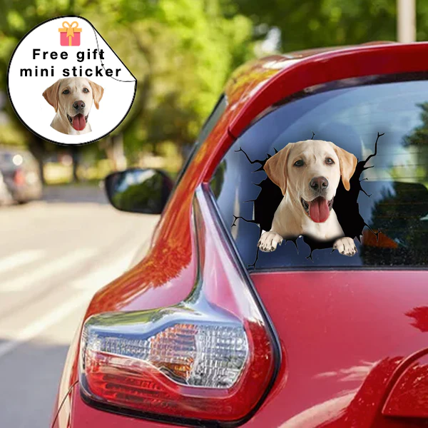 Pegatina de coche personalizada, con tu perro - personalizada